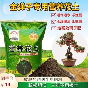 盆景专用营养土