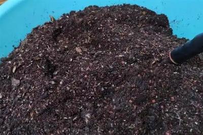 营养土如何配制,分为腐叶营养土、煤渣营养土等