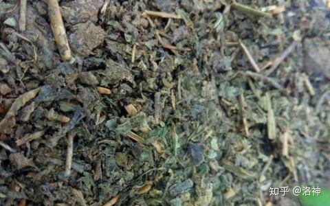 自制6种营养土的简单方法,效果很好,连肥料钱都省了