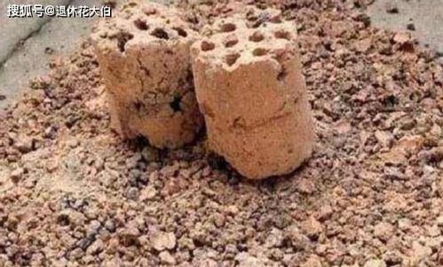 想要自制老花匠偏爱的营养土,就先准备好草木灰 松针 煤渣吧