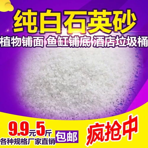 多肉植物专用颗粒土——绿沸石、火山石、陶粒与麦饭石的完美组合