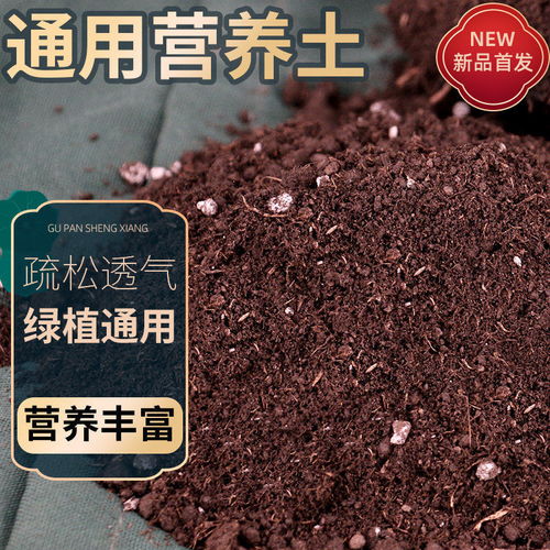 营养土的多样应用 从通用种植到专业养护