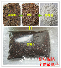 泥炭土、珍珠岩与蛭石 打造理想营养土的全方位指南