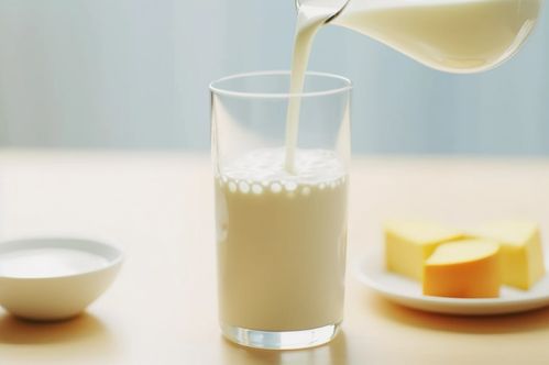 现代牧业的困境 盈利下滑与营养土市场机遇的思考