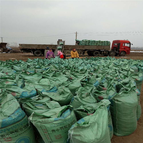 安徽池州鸡粪干生产厂家专业供应优质营养土，欢迎垂询