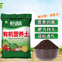 肥料营养土 提升土壤肥力与促进植物生长的关键