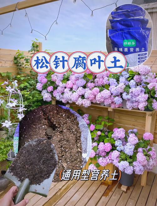 松针腐叶土 花卉蔬菜的超级营养土