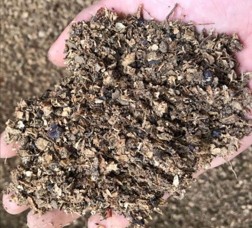 在家自制营养土，松软透气养分足，轻松养好各种花