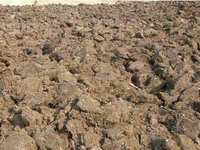 聊城膨胀珍珠岩栽培基质供应指南 助力现代农业发展