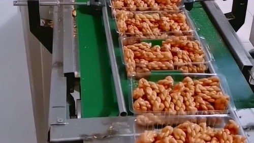 传统美食与绿色生活 表妹带来的大麻花与营养土