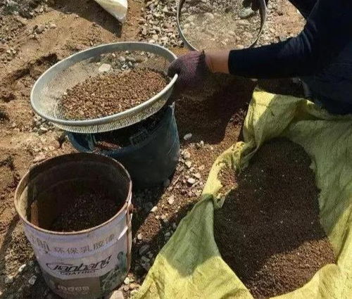 自制营养土 养花不花钱，添上这几样，比买的还好！