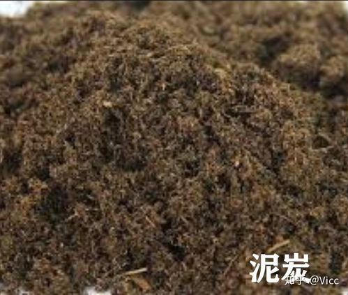 常见种植基质深度比较 泥炭、椰砖、营养土、颗粒土、黑土，聚焦营养土之选